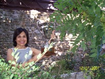 Mostra Bonsai
